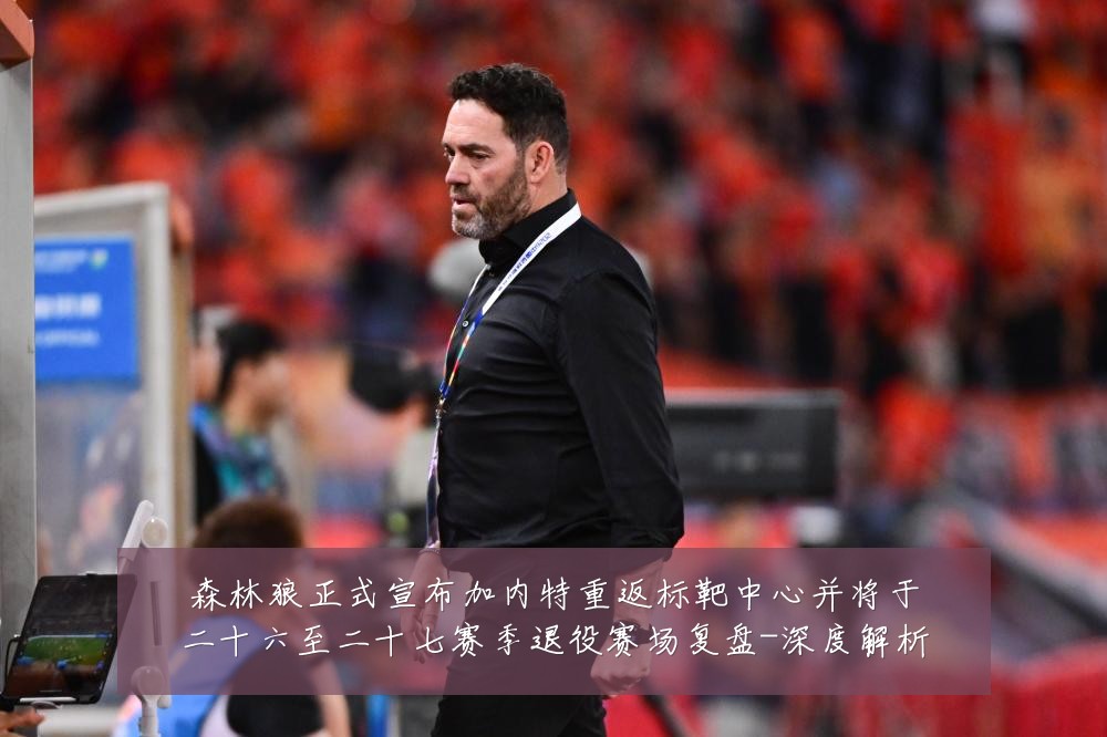 森林狼正式宣布加内特重返标靶中心并将于二十六至二十七赛季退役赛场复盘-深度解析
