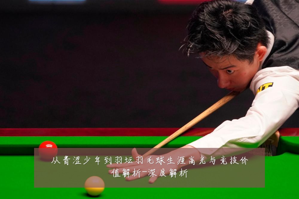 从青涩少年到羽坛羽毛球生涯高光与竞技价值解析-深度解析
